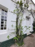 Maison a vendre Samer 62830 Pas-de-Calais 62 268 m2 10 pièces 644700 euros 069/501 011