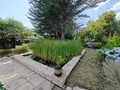 Maison a vendre Clohars-Carnoët 29360 Finistère 29 78 m2 4 pièces 332800 euros 2024 - 88 012