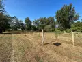 Maison a vendre Onesse-Laharie 40110 Landes 40 99 m2 4 pièces 349000 euros 1003741 008
