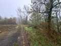 Terrains de loisirs bois etangs a vendre Saint-Léon-sur-Vézère 24290 Dordogne 24 28500 euros 18113/163 001