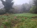 Terrains de loisirs bois etangs a vendre Saint-Léon-sur-Vézère 24290 Dordogne 24 28500 euros 18113/163 003
