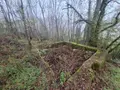 Terrains de loisirs bois etangs a vendre Saint-Léon-sur-Vézère 24290 Dordogne 24 28500 euros 18113/163 002