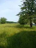Propriete a vendre Saint-Hélen 22100 Côtes-d'Armor 22 67 m2 2 pièces 301600 euros 231 014