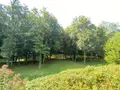 Maison a vendre Châtillon-sur-Indre 36700 Indre 36 258 m2 9 pièces 1273000 euros 1050185 015