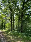 Maison a vendre Châtillon-sur-Indre 36700 Indre 36 258 m2 9 pièces 1273000 euros 1050185 017