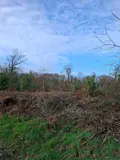 Terrains de loisirs bois etangs a vendre Clohars-Carnoët 29360 Finistère 29 52950 euros 29114-126 001