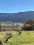 Maison a vendre Brens 01300 Ain 01 85 m2 5 pièces 395000 euros 13890/128 008