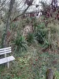 Maison a vendre Moncontour 86330 Vienne 86 140 m2 10 pièces 70000 euros 86056/5 008
