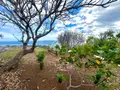 Maison a vendre Saint-Leu 97436 La Réunion 974 160 m2 8 pièces 1260000 euros 97424/244 030