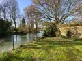 Divers a vendre Buzançais 36500 Indre 36 275 m2 8 pièces 96600 euros 1052125 025