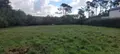 Terrain a batir a vendre Crozon 29160 Finistère 29 500 m2 221340 euros 3259 002