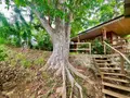 Maison a vendre La Possession 97419 La Réunion 974 130 m2 5 pièces 780000 euros 97424/250 016
