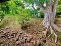Maison a vendre La Possession 97419 La Réunion 974 130 m2 5 pièces 780000 euros 97424/250 017