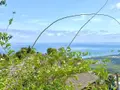 Maison a vendre Saint-Paul 97460 La Réunion 974 95 m2 4 pièces 472500 euros 97424/251 037