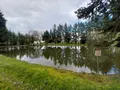 Terrains de loisirs bois etangs a vendre Cuillé 53540 Mayenne 53 69800 euros 35131-222 008