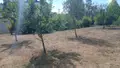 Maison a vendre Carentoir 56910 Morbihan 56 109 m2 4 pièces 256760 euros 009/1339 011