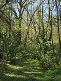 Propriete a vendre Saint-Jacut-les-Pins 56220 Morbihan 56 200 m2 432736 euros 143/259M 020