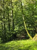 Propriete a vendre Saint-Jacut-les-Pins 56220 Morbihan 56 200 m2 432736 euros 143/259M 022