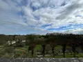 Propriete a vendre Saint-James 50240 Manche 50 2260 m2 65 pièces 1050000 euros 12541/2265 017