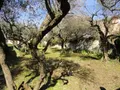Terrain a batir a vendre Saint-Gilles 30800 Gard 30 99000 euros 11411/451 002