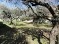 Terrain a batir a vendre Saint-Gilles 30800 Gard 30 99000 euros 11411/451 003