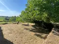 Propriete a vendre Bourg-des-Maisons 24320 Dordogne 24 129 m2 5 pièces 265000 euros 077/1716 067