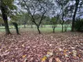 Propriete a vendre Noyal-Châtillon-sur-Seiche 35230 Ille-et-Vilaine 35 495 m2 10 pièces 779250 euros 35129-6749 006