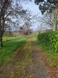 Maison a vendre Saint-Avit-Sénieur 24440 Dordogne 24 173 m2 296000 euros 18113/166 020