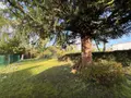 Immeuble de rapport a vendre Estaires 59940 Nord 59 178 m2 6 pièces 292500 euros D2486 008