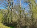 Terrains de loisirs bois etangs a vendre Hédé-Bazouges 35630 Ille-et-Vilaine 35 8500 euros 020/640 002