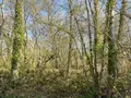 Terrains de loisirs bois etangs a vendre Hédé-Bazouges 35630 Ille-et-Vilaine 35 8500 euros 020/640 003