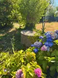Maison a vendre Névez 29920 Finistère 29 106 m2 4 pièces 572000 euros MN511 013