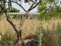 Maison a vendre Azay-le-Ferron 36290 Indre 36 50 m2 2 pièces 22400 euros 1050964 004
