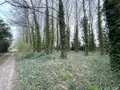 Terrains de loisirs bois etangs a vendre Looberghe 59630 Nord 59 17500 euros H02216 002