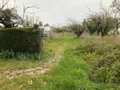 Terrain a batir a vendre Châteauroux 36000 Indre 36 33000 euros 11813/1516 002
