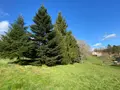 Maison a vendre Marmanhac 15250 Cantal 15 157 m2 7 pièces 285000 euros 15061-51 011