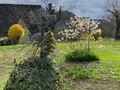 Maison a vendre Marmanhac 15250 Cantal 15 157 m2 7 pièces 285000 euros 15061-51 006