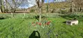Maison a vendre Normanville 27930 Eure 27 230 m2 8 pièces 399000 euros M01026H 004