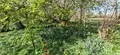 Maison a vendre Normanville 27930 Eure 27 230 m2 8 pièces 399000 euros M01026H 005