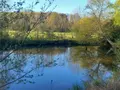 Terrains de loisirs bois etangs a vendre Luzillé 37150 Indre-et-Loire 37 78100 euros 11893/504 002