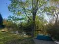Terrains de loisirs bois etangs a vendre Luzillé 37150 Indre-et-Loire 37 78100 euros 11893/504 003