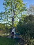Terrains de loisirs bois etangs a vendre Luzillé 37150 Indre-et-Loire 37 78100 euros 11893/504 004