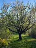 Terrains de loisirs bois etangs a vendre Luzillé 37150 Indre-et-Loire 37 78100 euros 11893/504 005