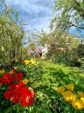 Maison a vendre Cesson-Sévigné 35510 Ille-et-Vilaine 35 80 m2 4 pièces 362250 euros 35129-6790 002
