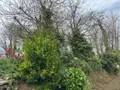 Terrain a batir a vendre Quéménéven 29180 Finistère 29 59200 euros TEBA/1072 011