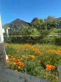Maison a vendre Ribérac 24600 Dordogne 24 148 m2 3 pièces 144450 euros 077/1722 016