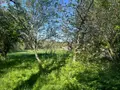 Maison a vendre Ribérac 24600 Dordogne 24 148 m2 3 pièces 144450 euros 077/1722 031