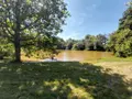 Terrains de loisirs bois etangs a vendre Drouges 35130 Ille-et-Vilaine 35 59800 euros 35131-248 009