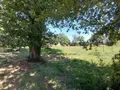 Terrains de loisirs bois etangs a vendre Drouges 35130 Ille-et-Vilaine 35 59800 euros 35131-248 015