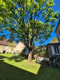 Propriete a vendre Aigurande 36140 Indre 36 338 m2 12 pièces 338000 euros CG/438 005